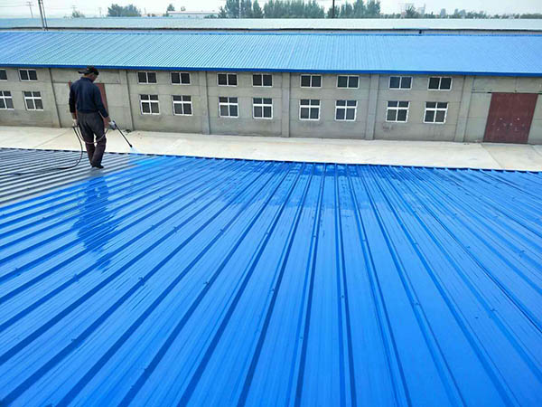 娄星 彩钢瓦喷漆翻新工业厂房、仓库